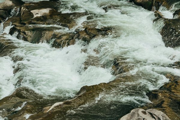 Quelles croisières offrent des excursions pour visiter les temples hindous en Inde?